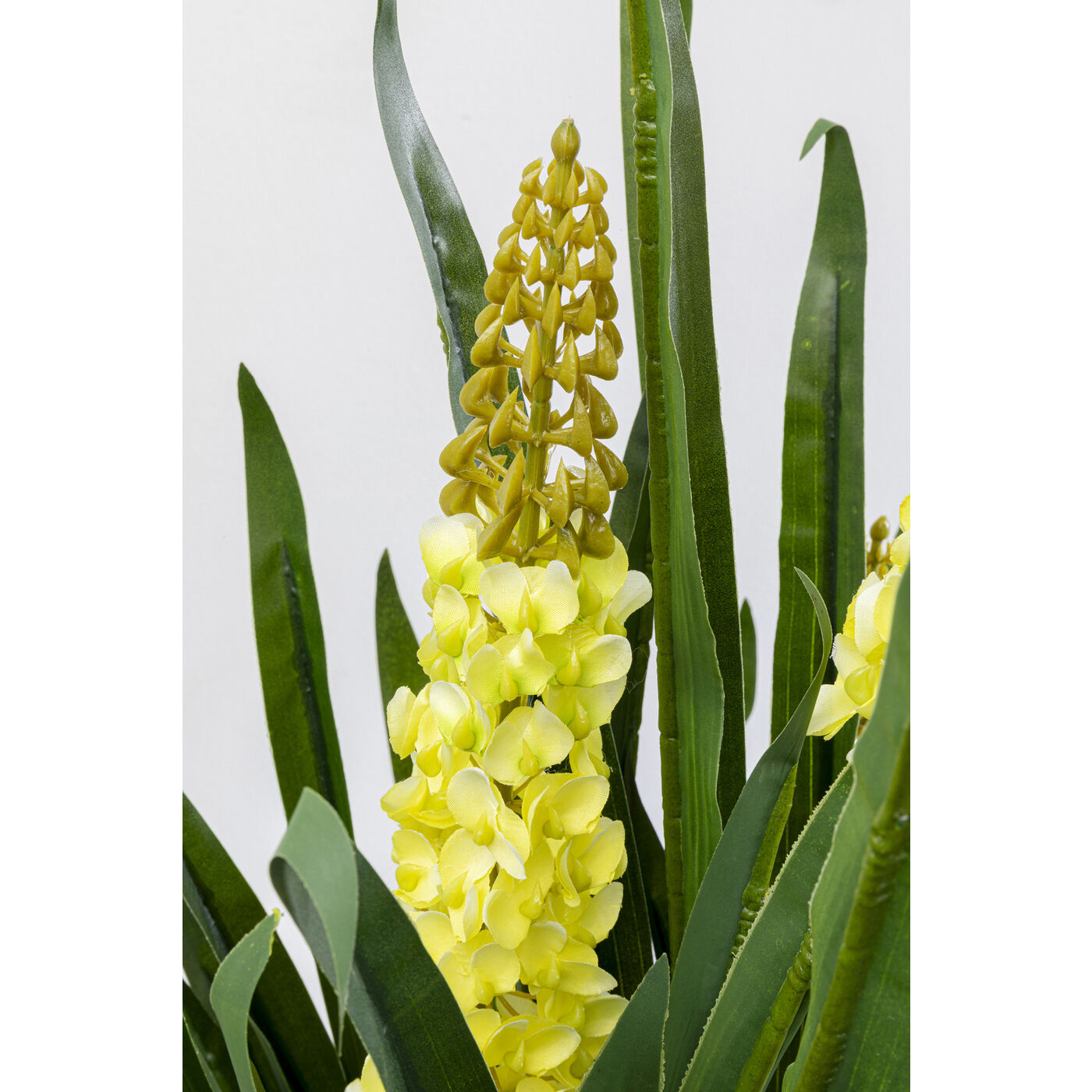 Deco Plant Rhynchostylis 55cm