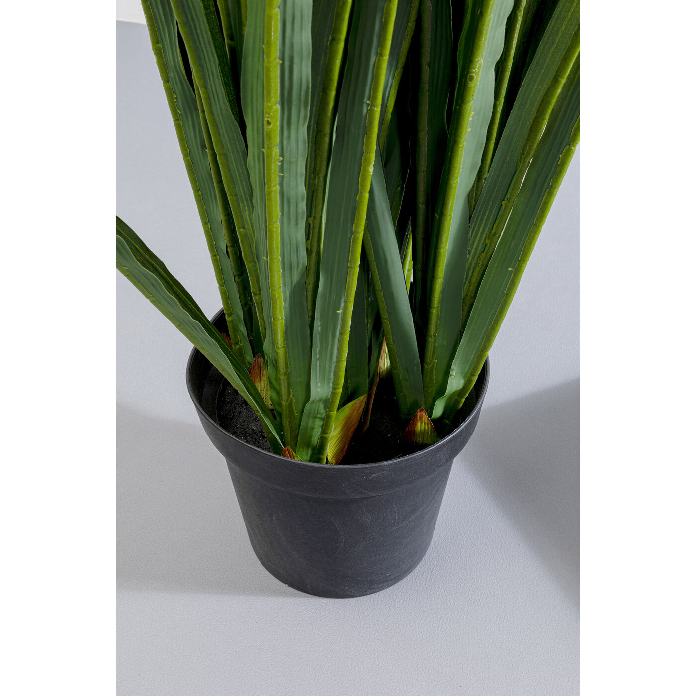 Deco Plant Rhynchostylis 55cm