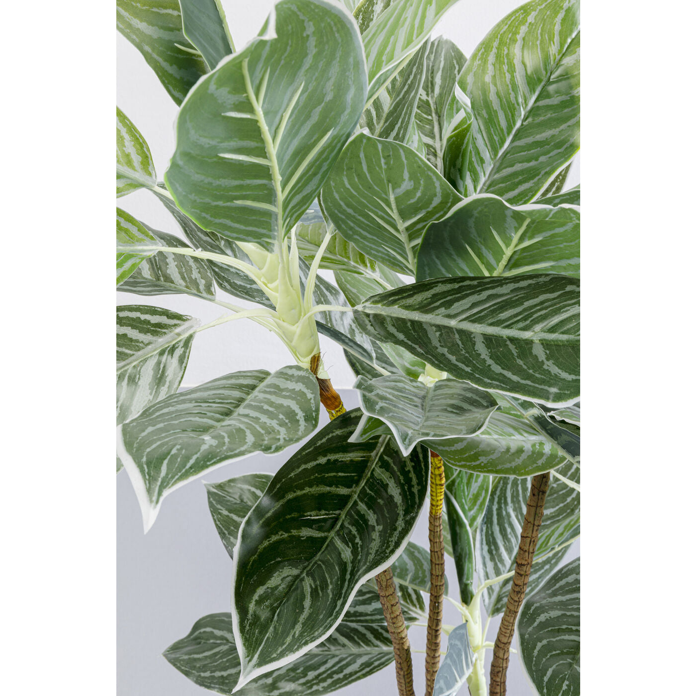 Deco Plant Calathea 140cm