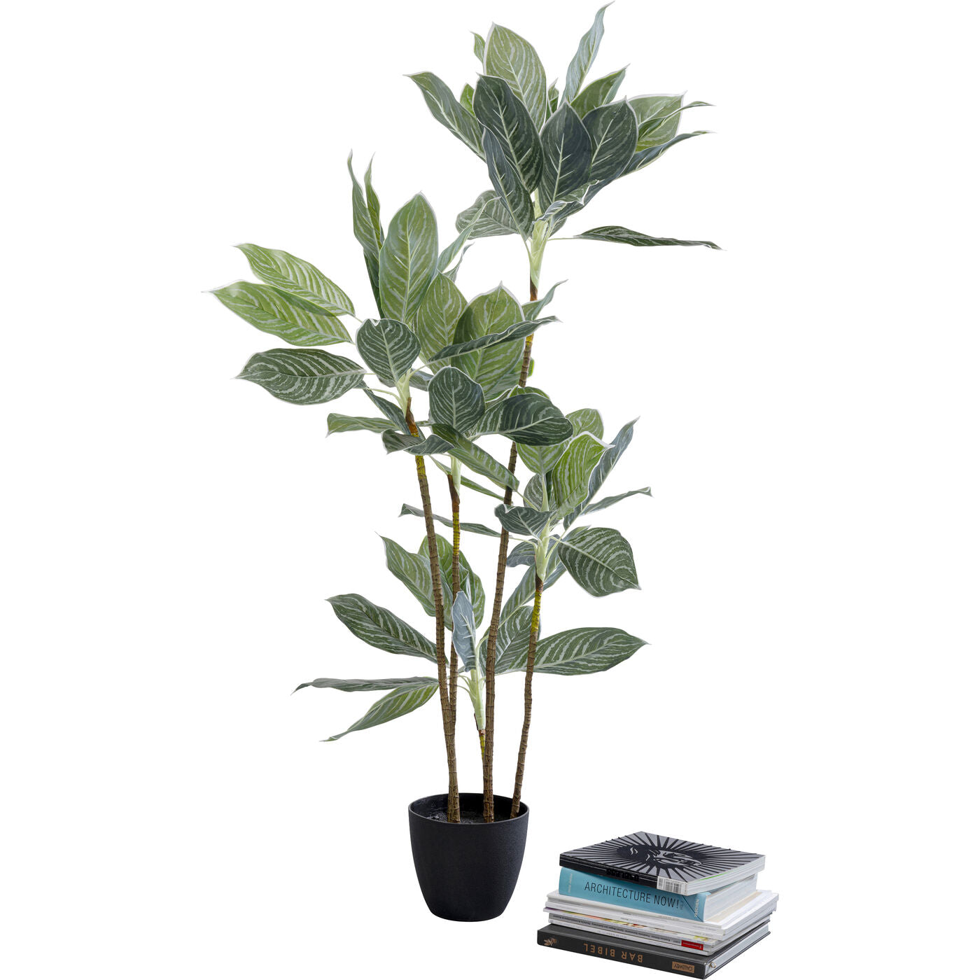 Deco Plant Calathea 140cm