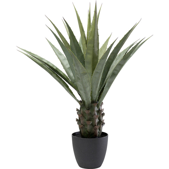 Deco Plant Agave 85cm