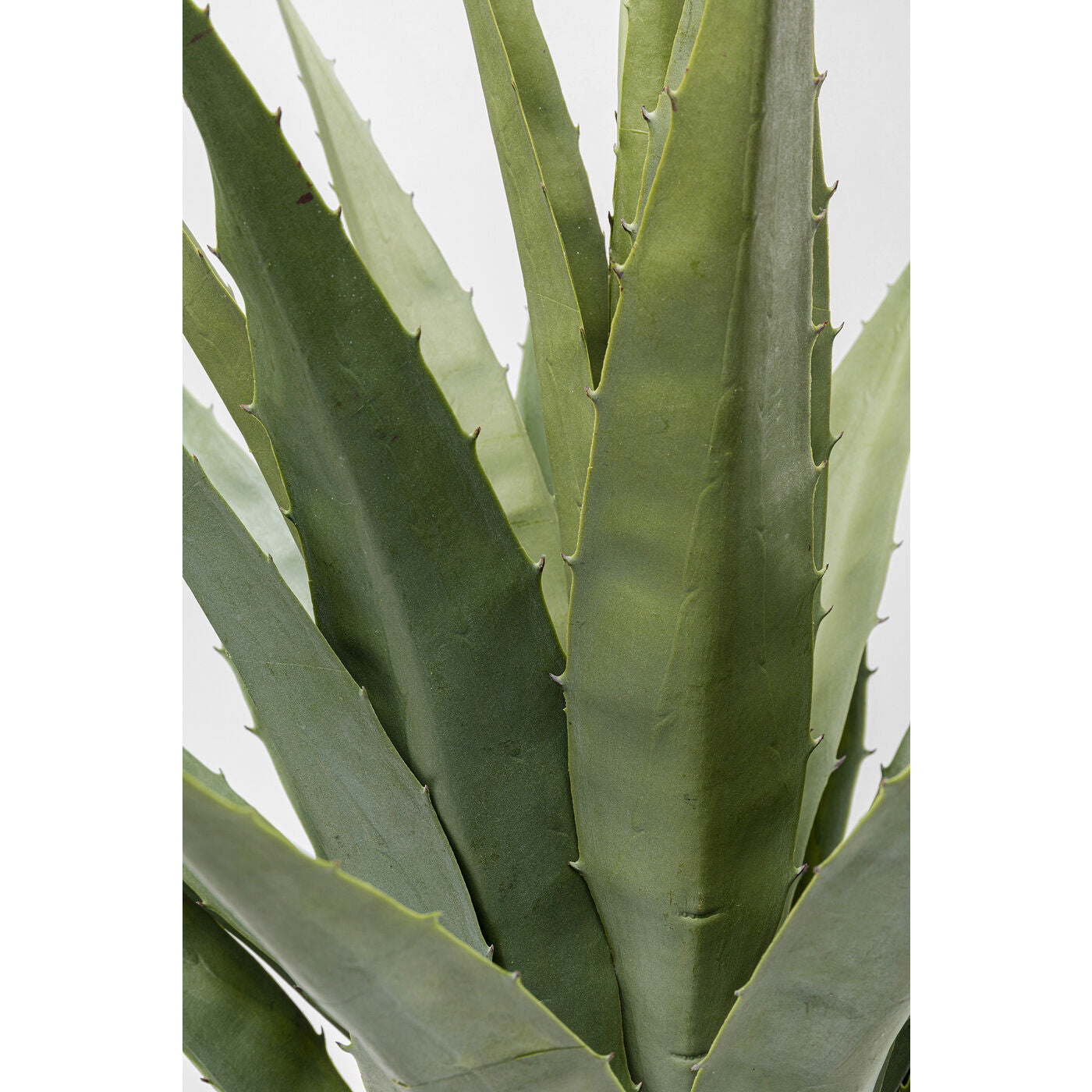 Deco Plant Agave 85cm