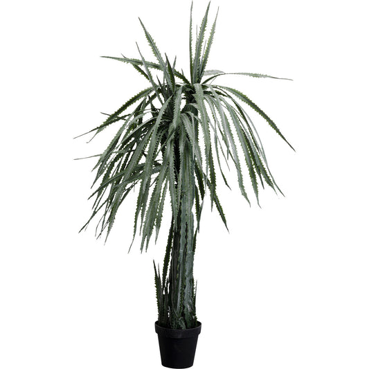 Deco Plant Dragon Tree 155cm