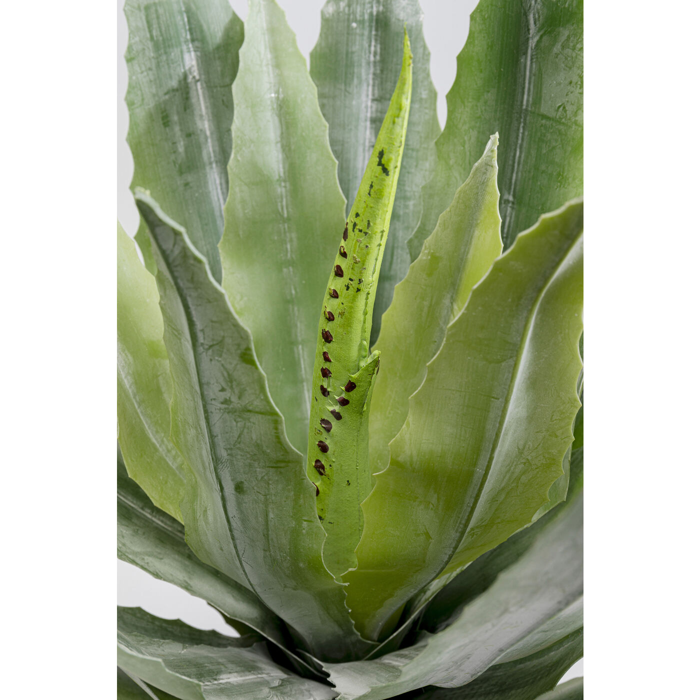 Deco Plant Agave 40cm