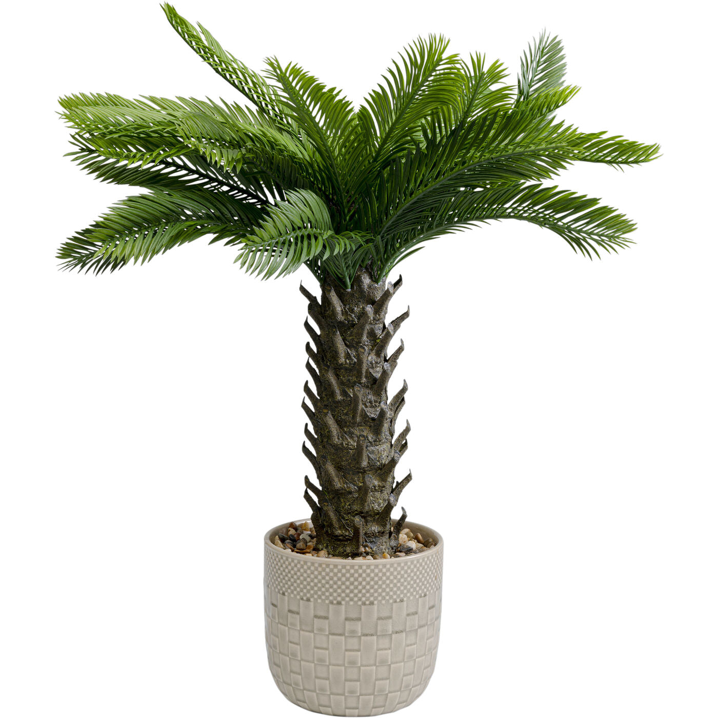 Deco Plant Cycas 70cm