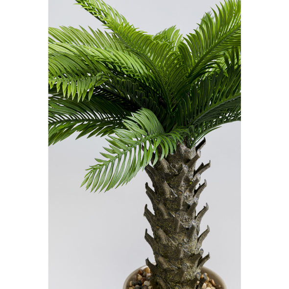 Deco Plant Cycas 70cm