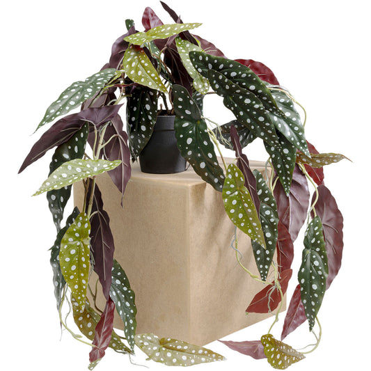 Deco Plant Begonia 105cm