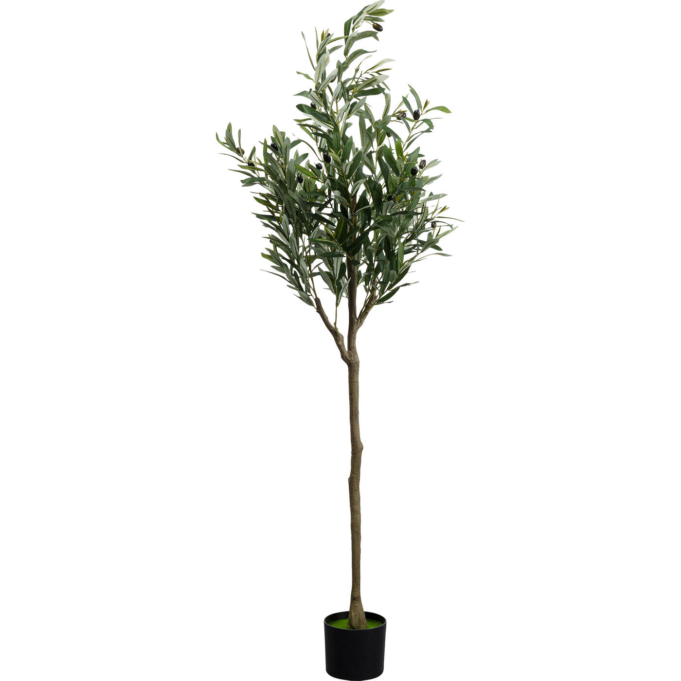 Deco Plant Olive Tree 150cm