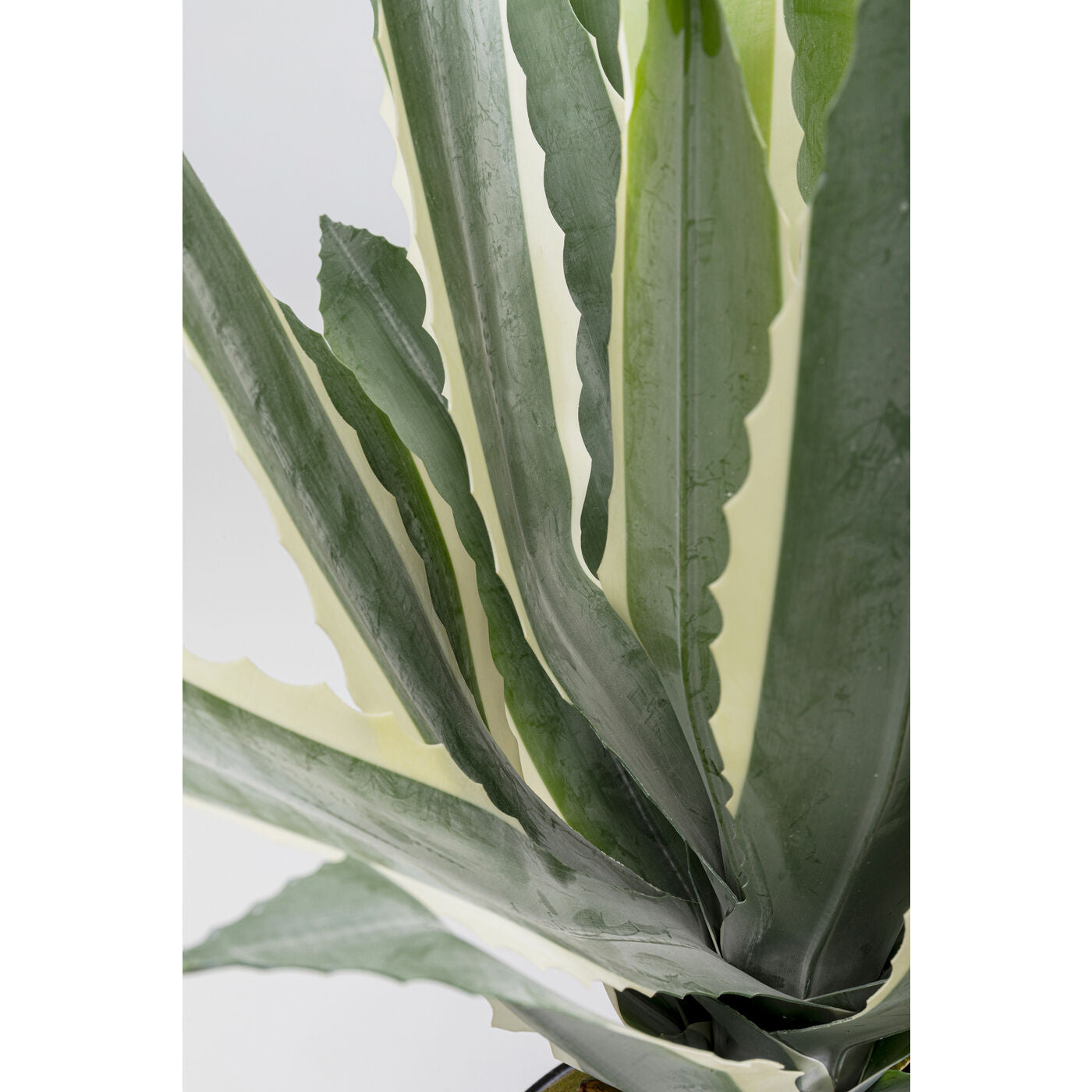 Deco Plant Agave 50cm