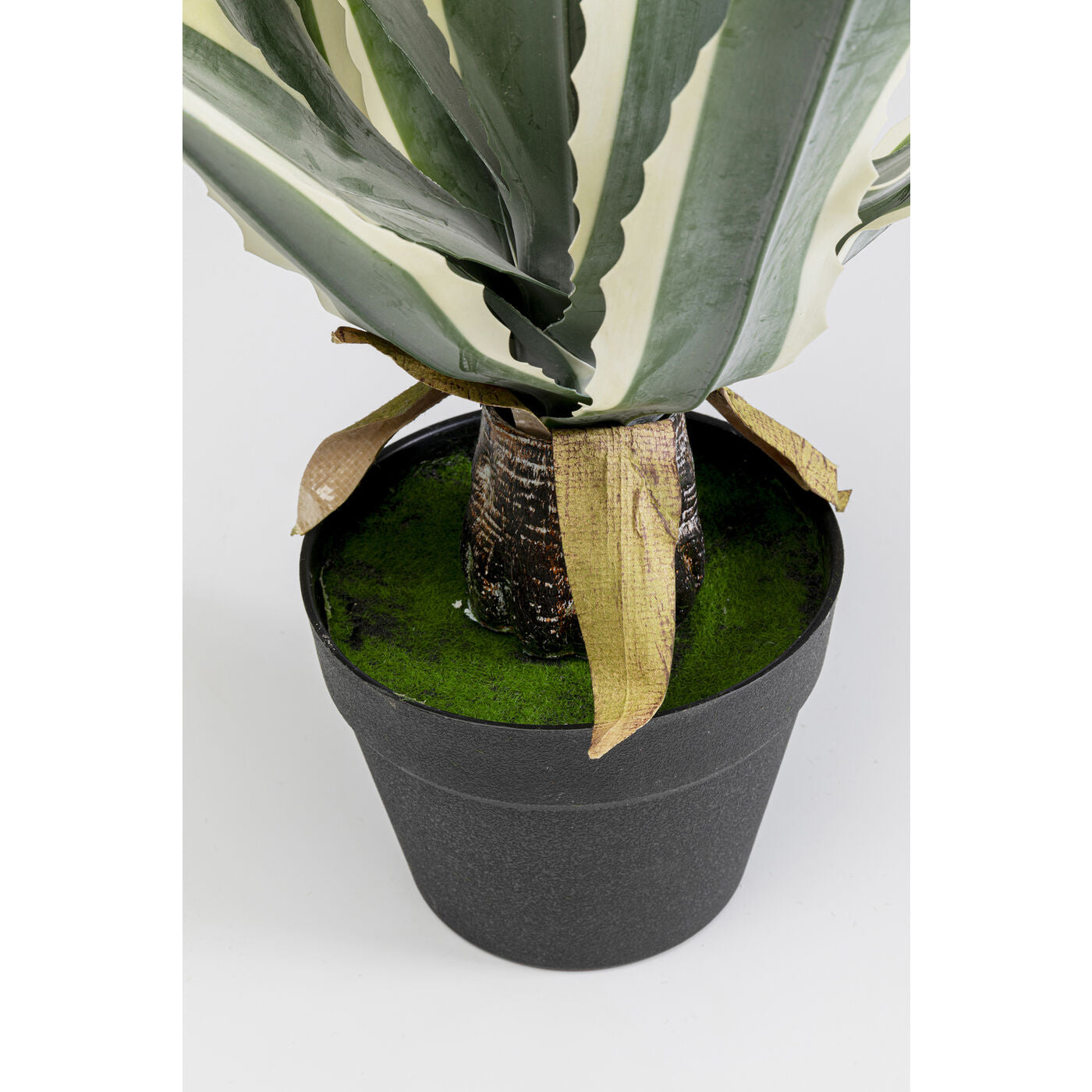 Deco Plant Agave 50cm