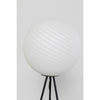 Modern LED Floor Lamp