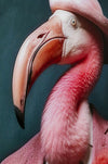 Flamingo Glass Picture