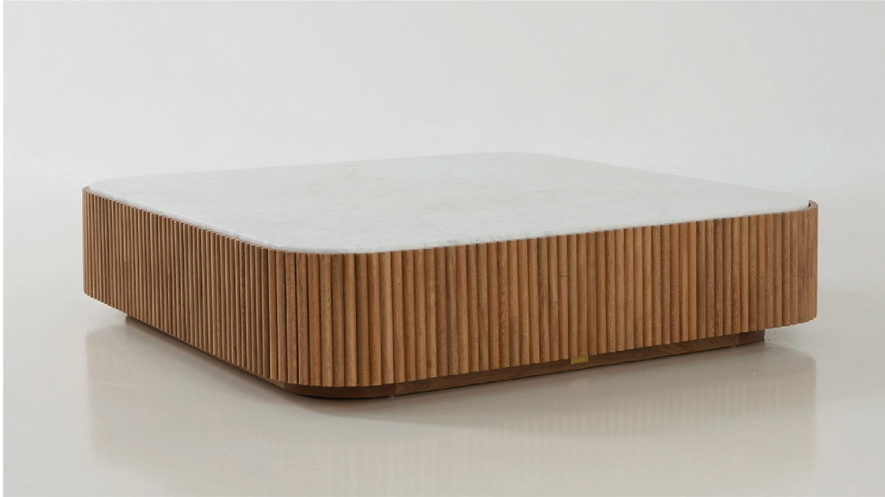 Anima Coffee Table by Zientte