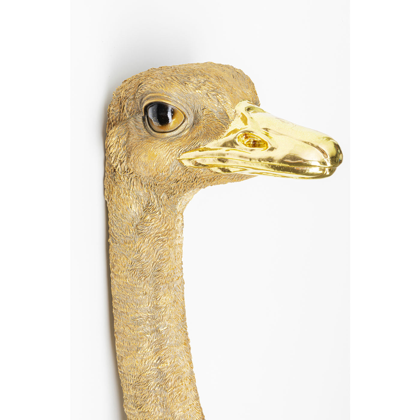 Wall Decoration Ostrich Gold 19x72cm