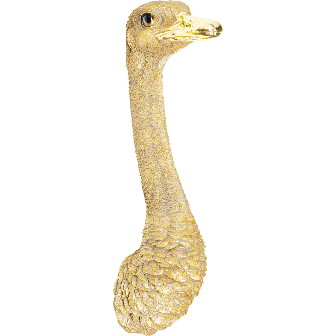 Wall Decoration Ostrich Gold 19x72cm