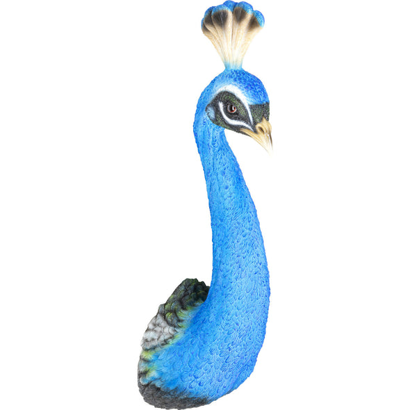 wall-decoration-peacock