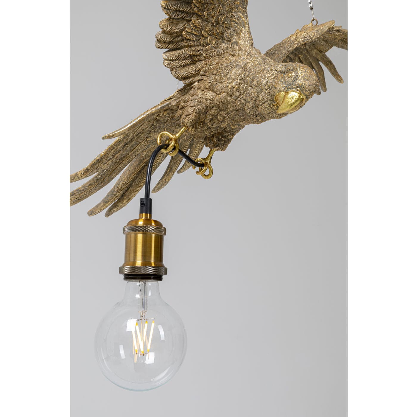 Pendant Lamp Parrot - JULIA VENCE STORE