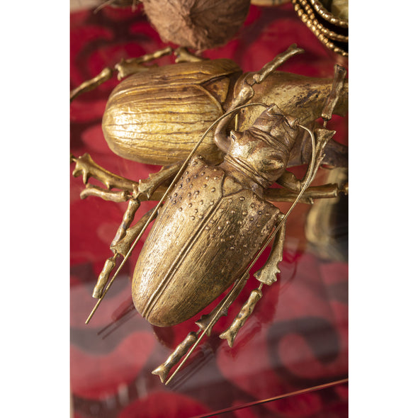 Gold Beetle Decor