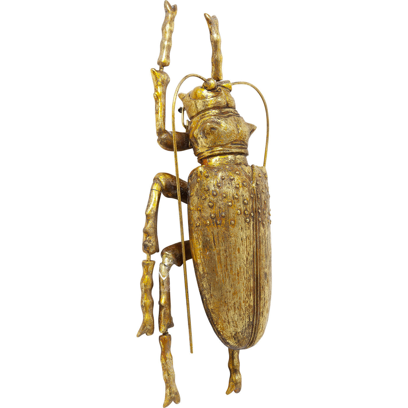 Gold Beetle Decor