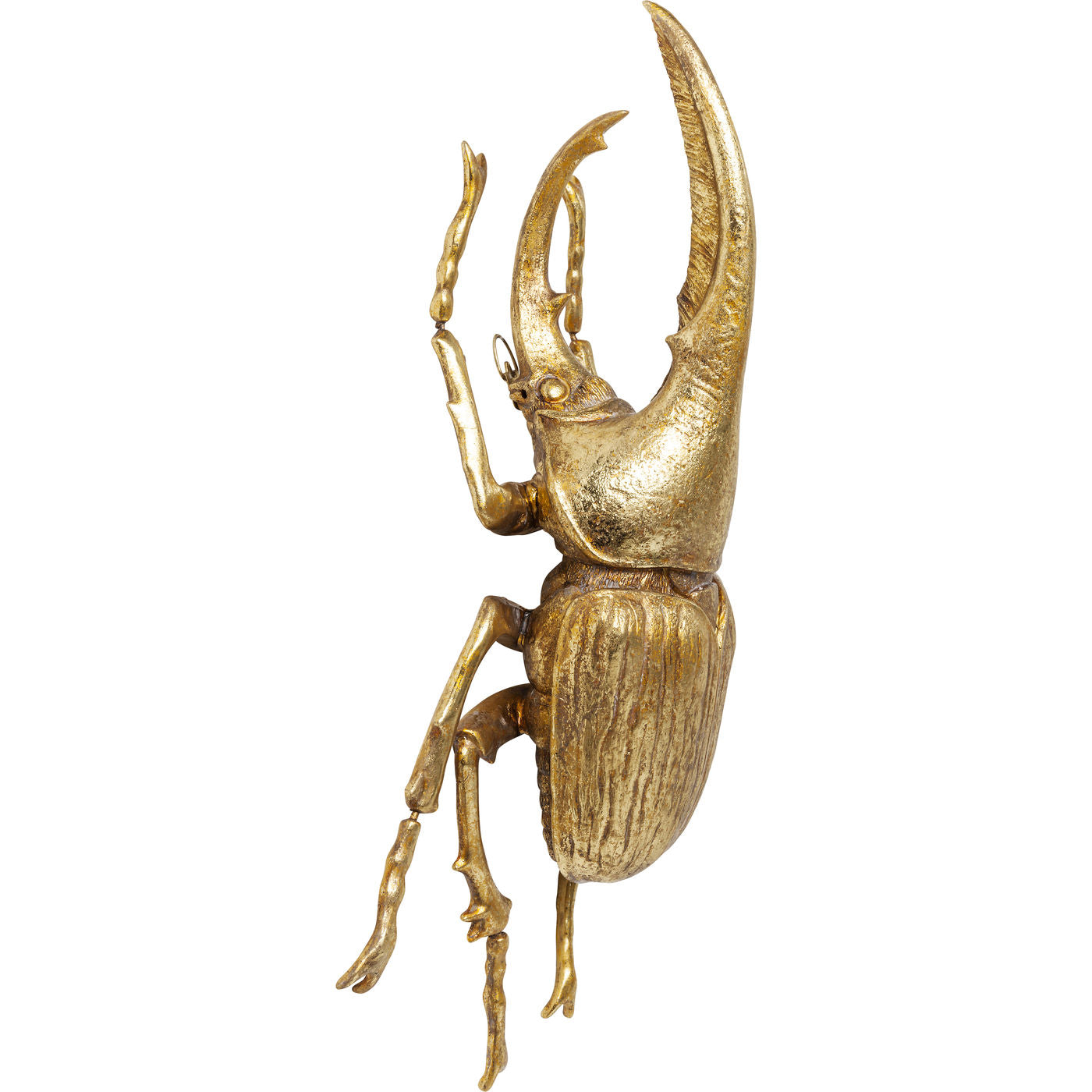 Gold Beetle Wall Decoration