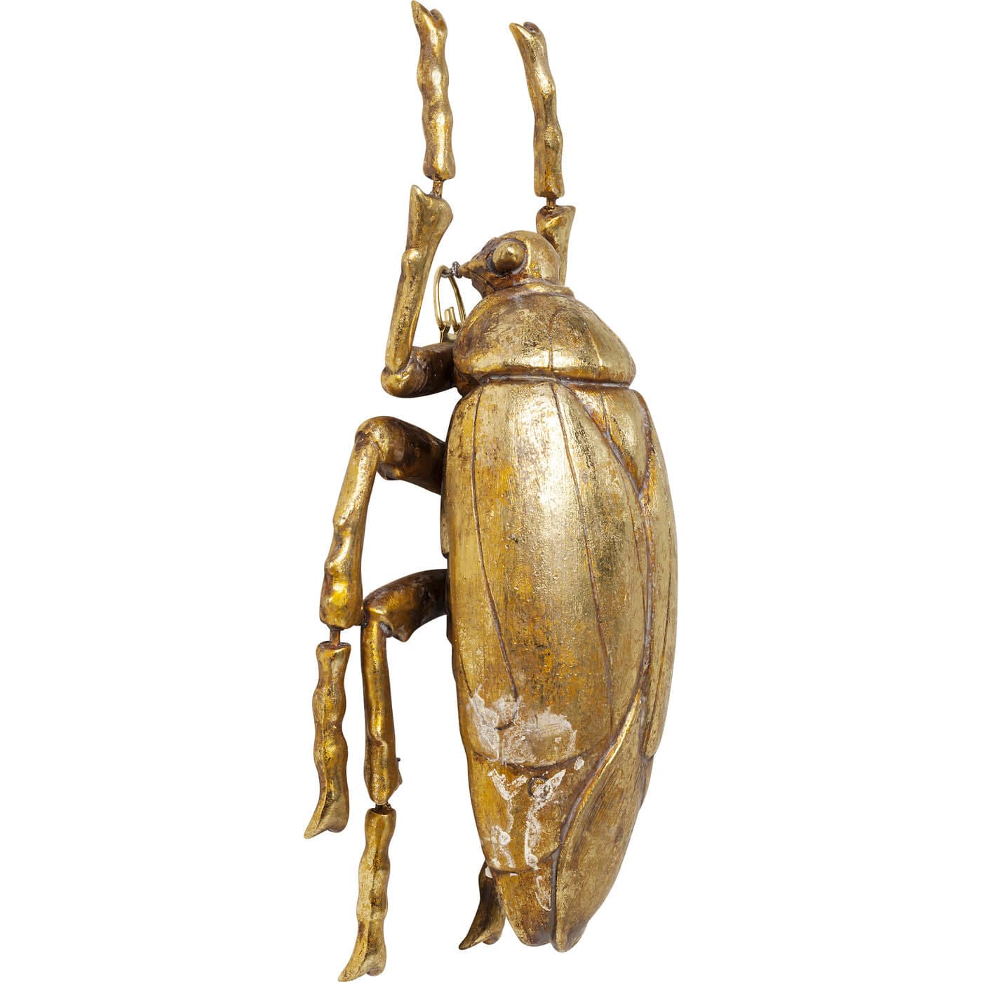 Golden Beetle Wall Decoration