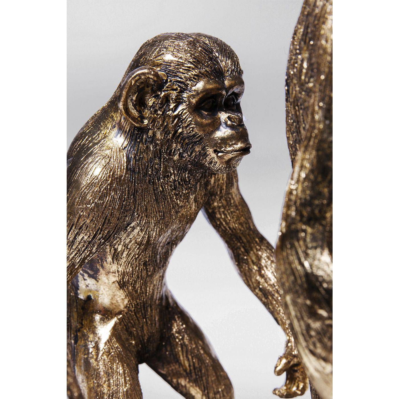 Evolution Figurine