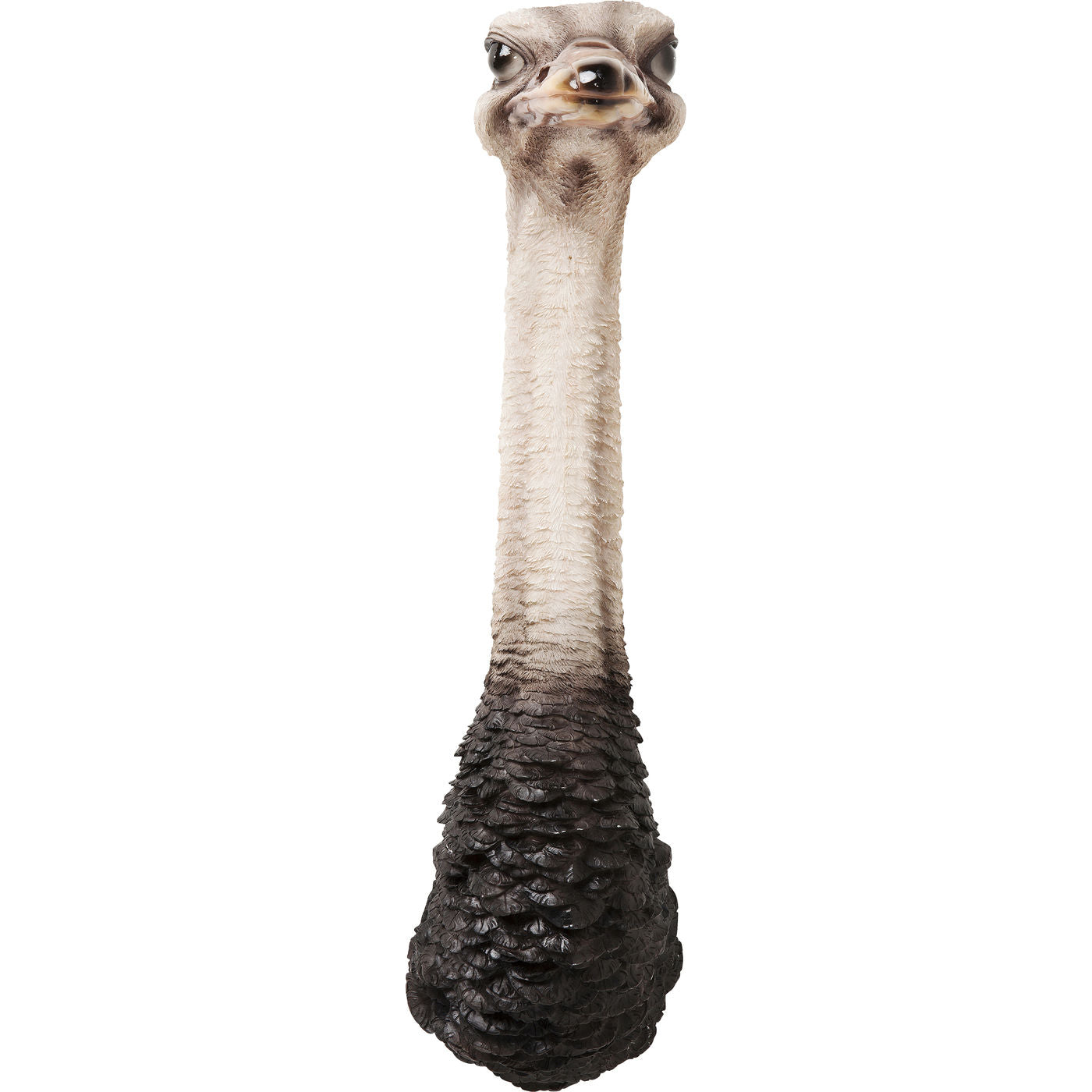 wall-decoration-ostrich