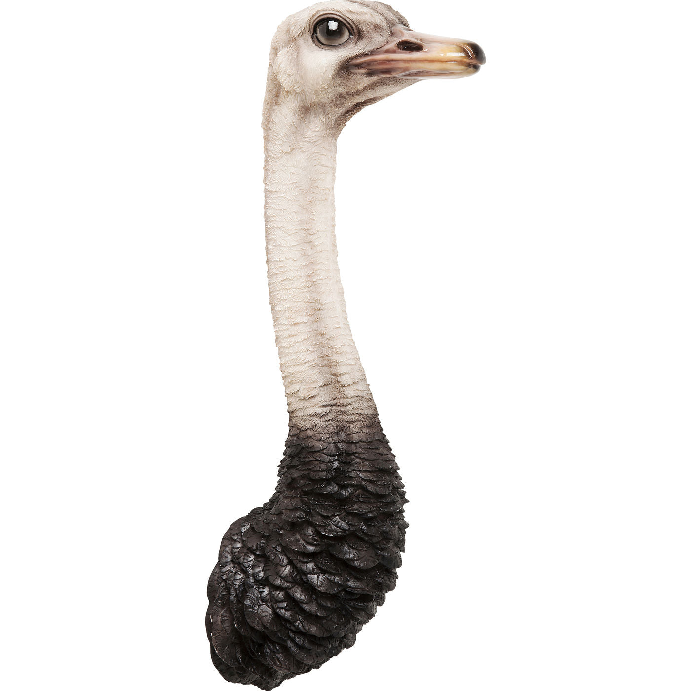 wall-decoration-ostrich