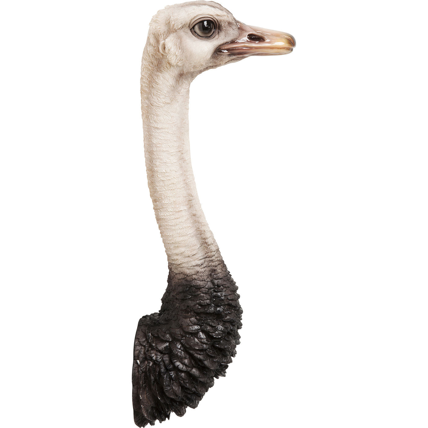 wall-decoration-ostrich