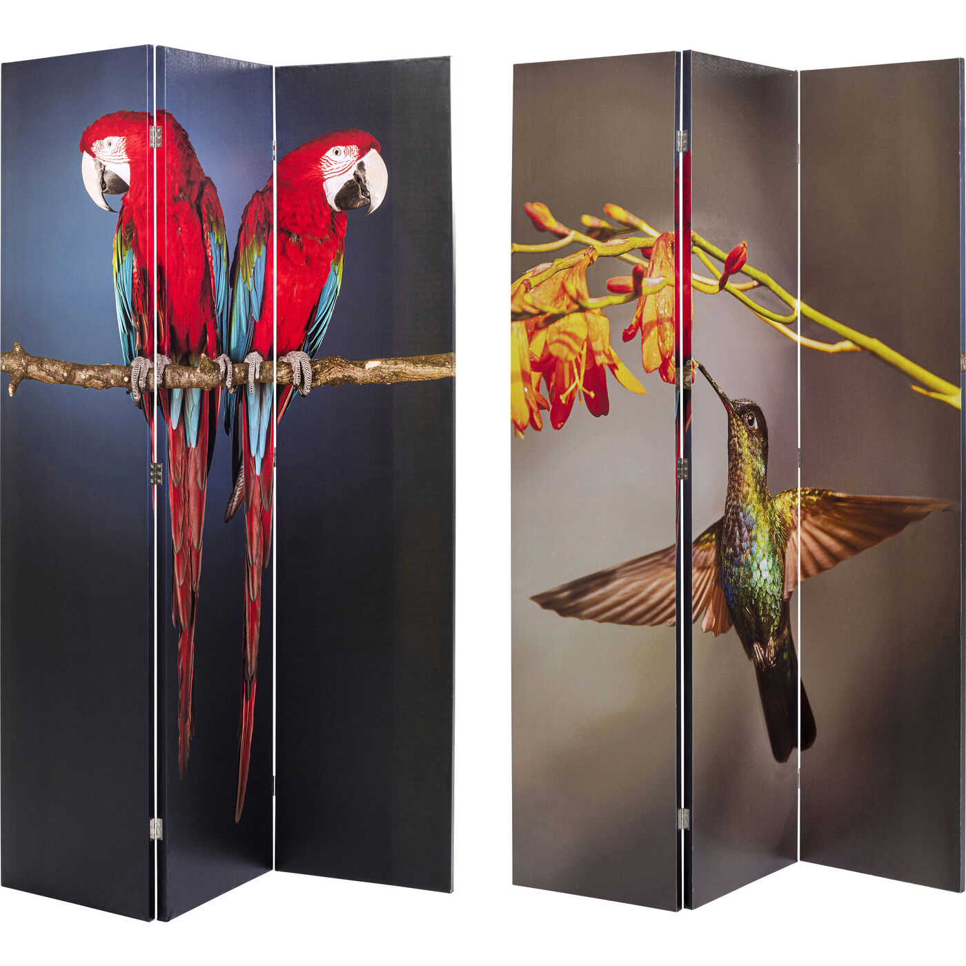 room divider twin parrot vs cute colibri 120x180