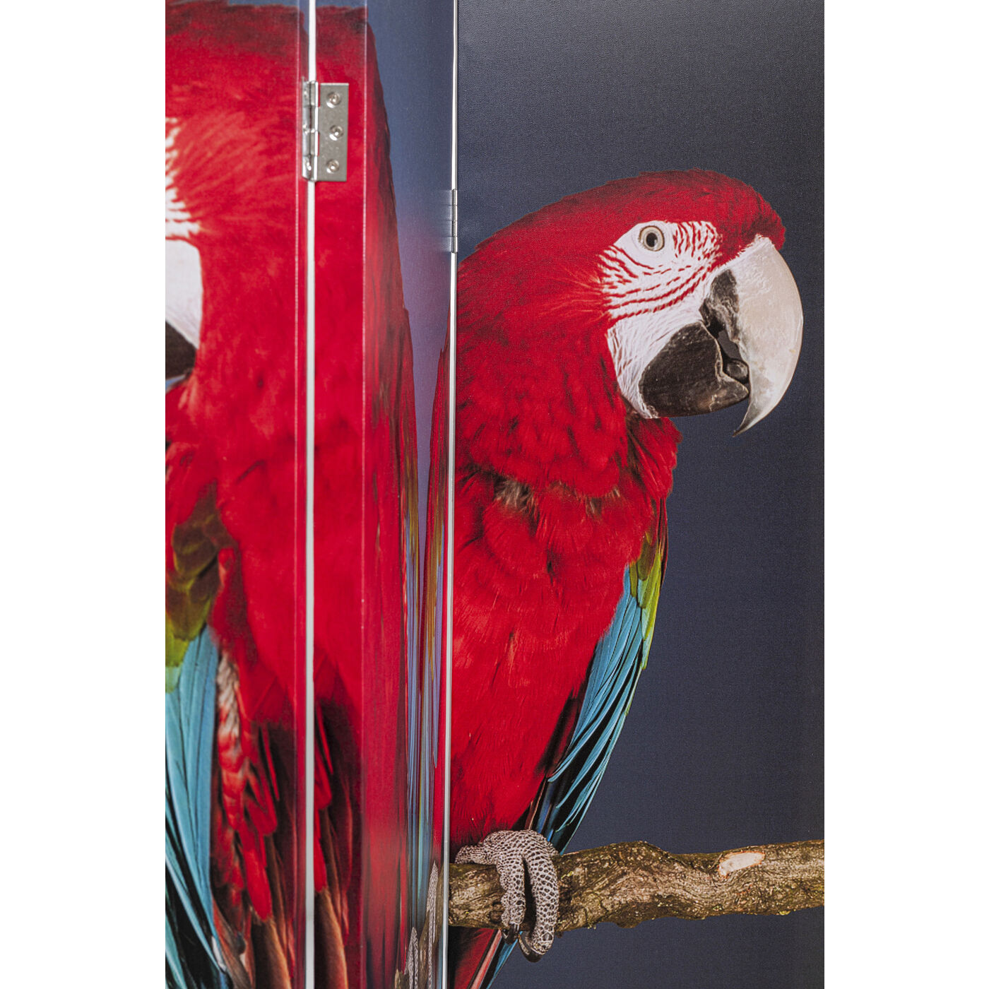 room divider twin parrot vs cute colibri 120x180