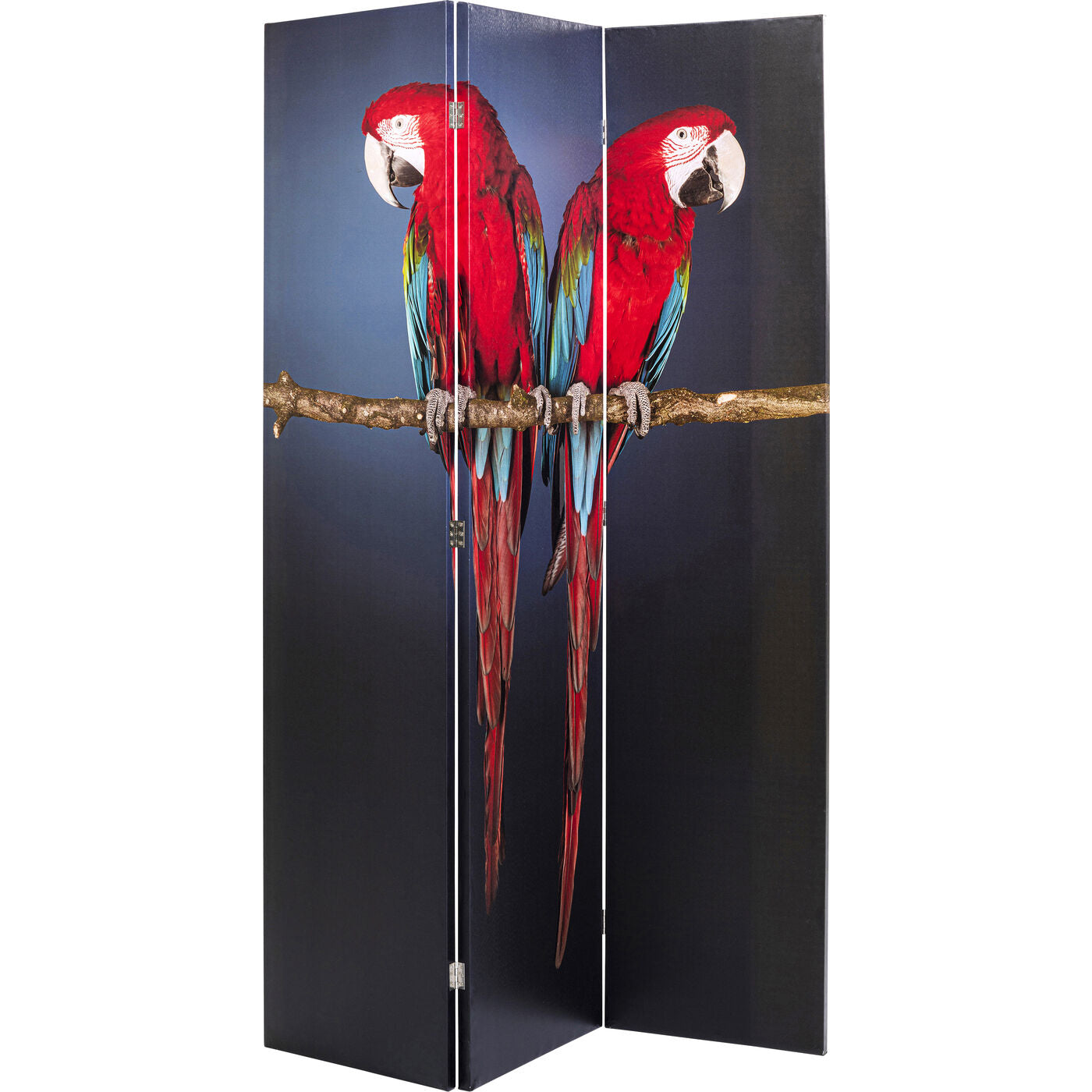 room divider twin parrot vs cute colibri 120x180