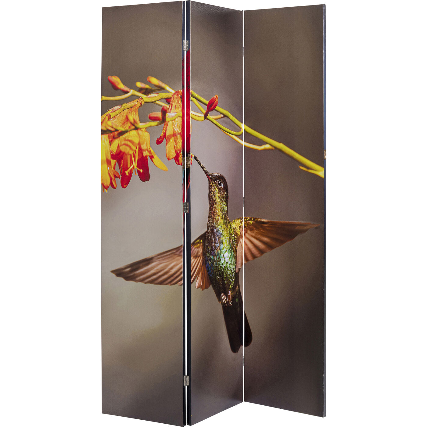 room divider twin parrot vs cute colibri 120x180