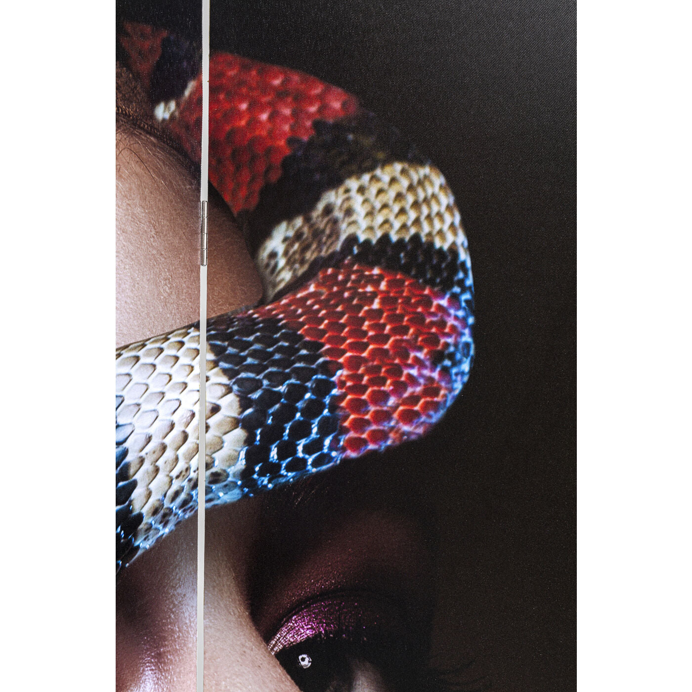 room divider royal headdress vs snake girl 120x180