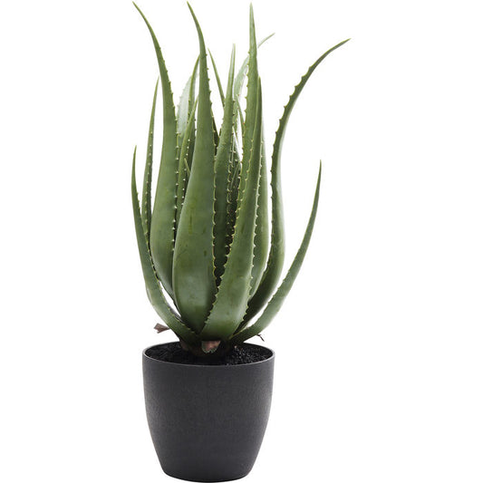 Deco Plant Aloe 69cm