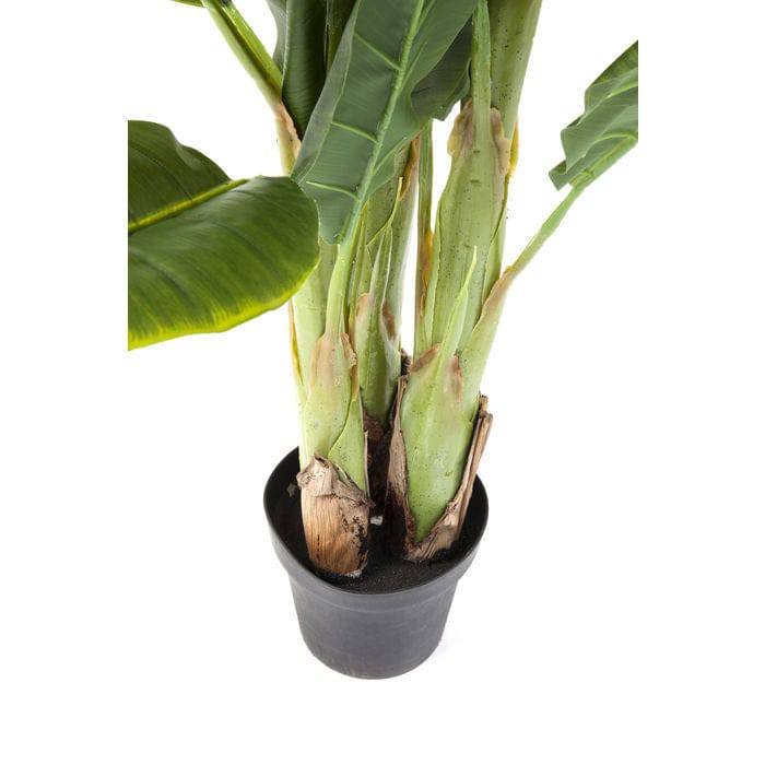 Deco Plant Banana Tree