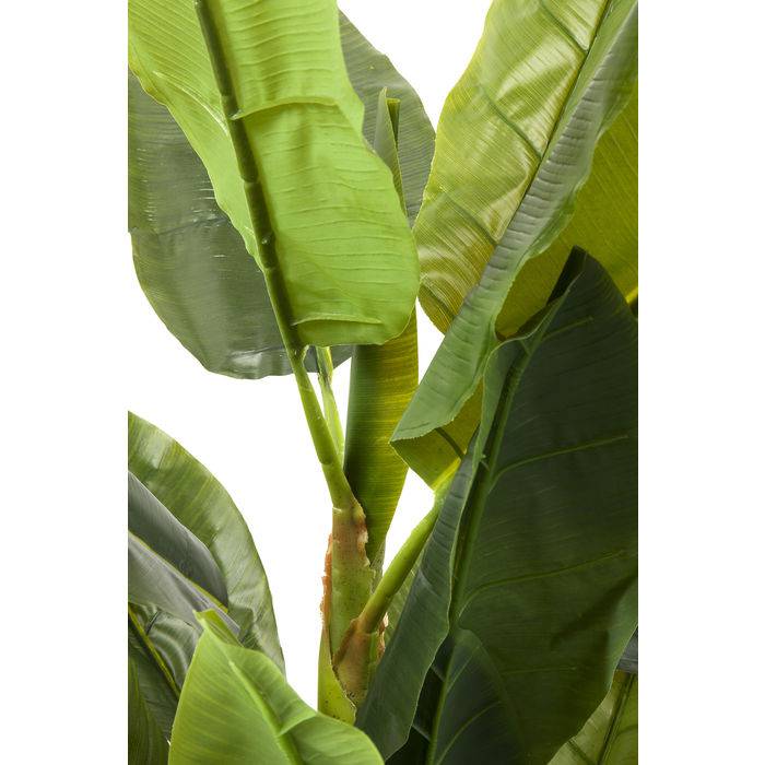 Deco Plant Banana Tree