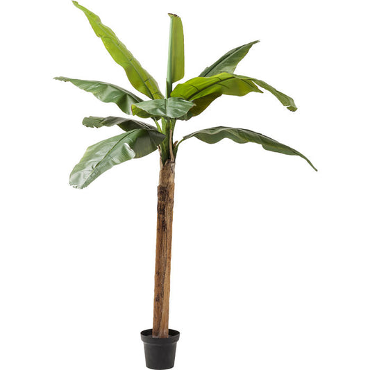 Deco Plant  Banana Tree 190cm