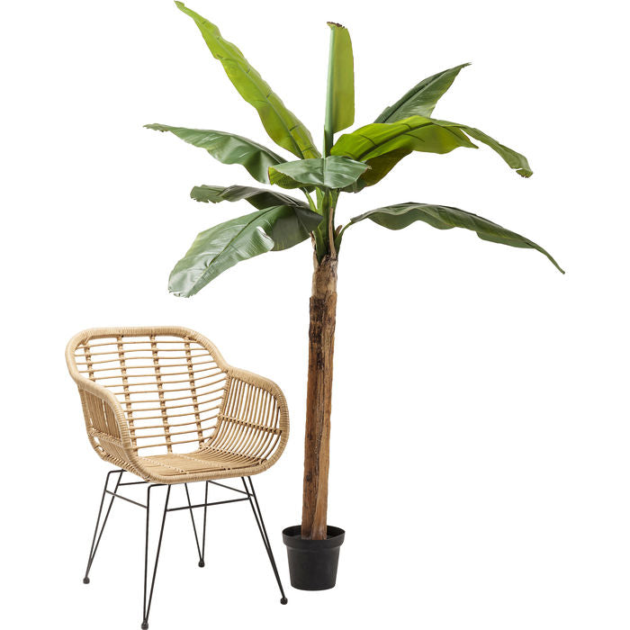 Deco Plant  Banana Tree 190cm