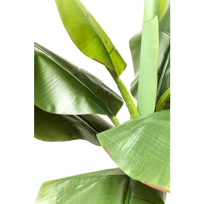 Deco Plant  Banana Tree 190cm