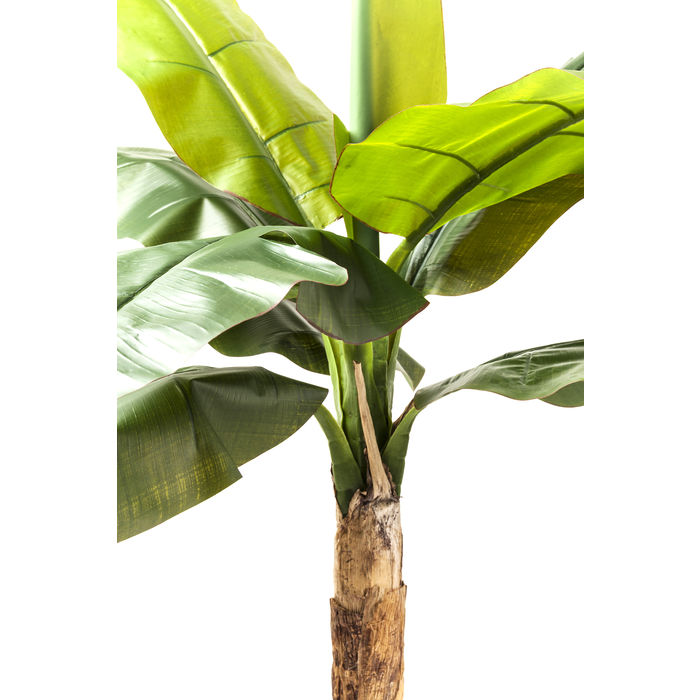 Deco Plant  Banana Tree 190cm