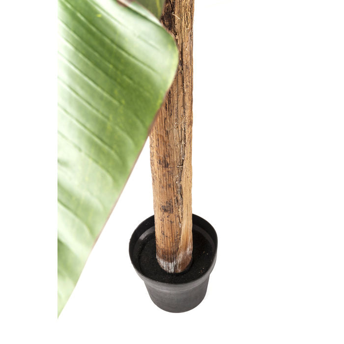 Deco Plant  Banana Tree 190cm