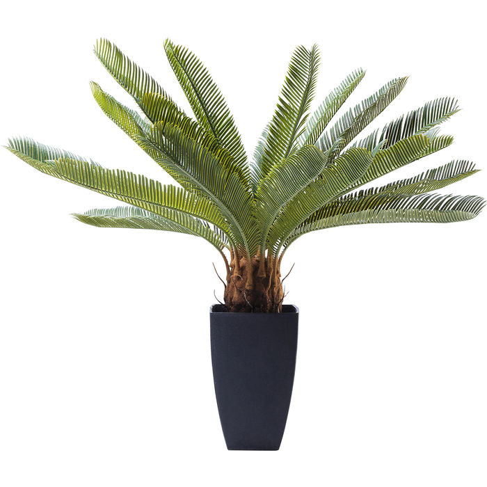 Deco Plant Cycas Tree 78cm