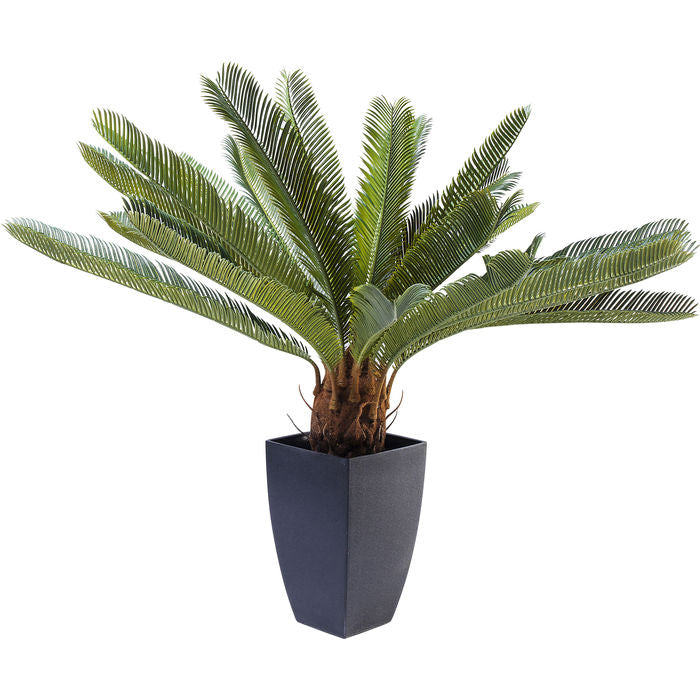 Deco Plant Cycas Tree 78cm