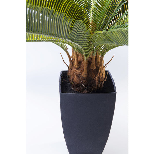 Deco Plant Cycas Tree 78cm