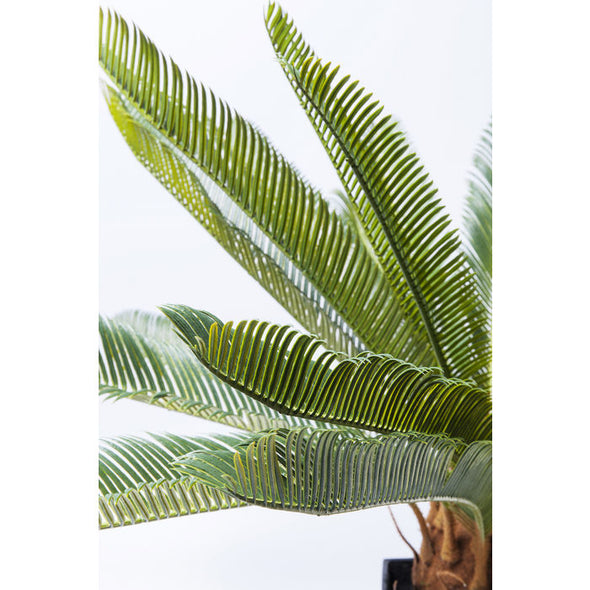 Deco Plant Cycas Tree 78cm