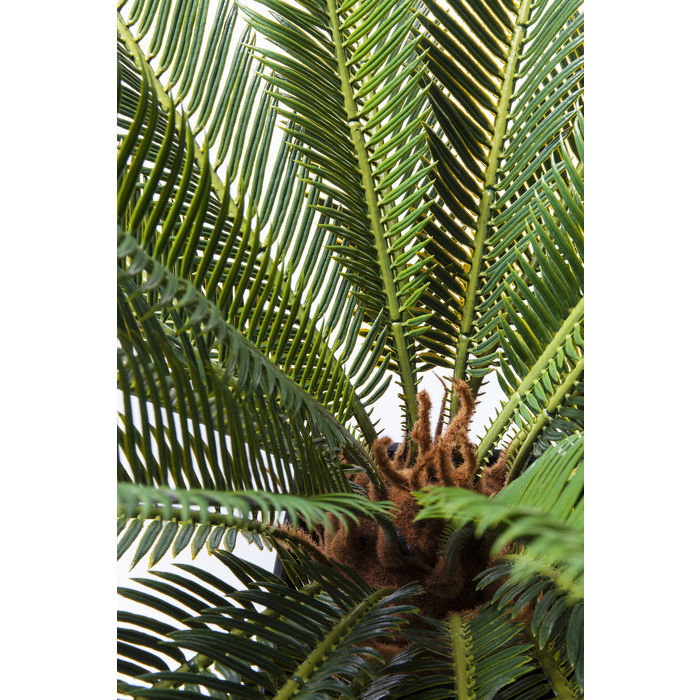 Deco Plant Cycas Tree 78cm