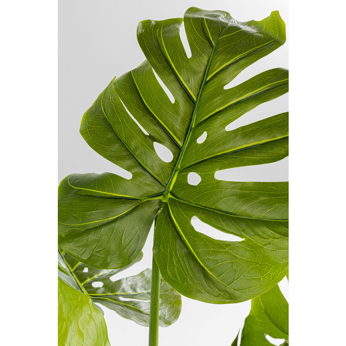 Deco Plant Monstera 110