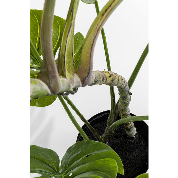 Deco Plant Monstera 110