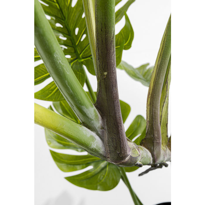 Deco Plant Monstera 110